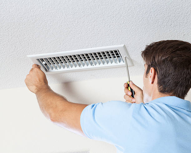 Best Basement Mold Removal  in Wheatland, CA