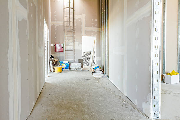 Best Environmental Consulting for Mold Prevention  in Wheatland, CA